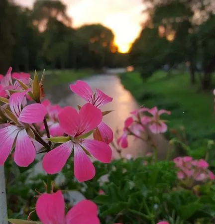 Am Kurpark Отель Бад-Нойенар-Арвайлер