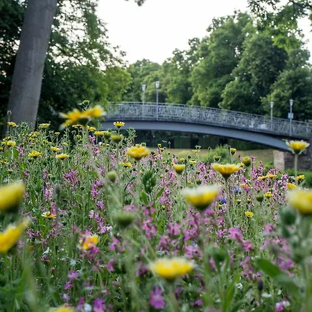 Am Kurpark 3*