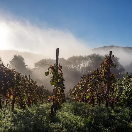 Am Kurpark 3* Bad Neuenahr-Ahrweiler