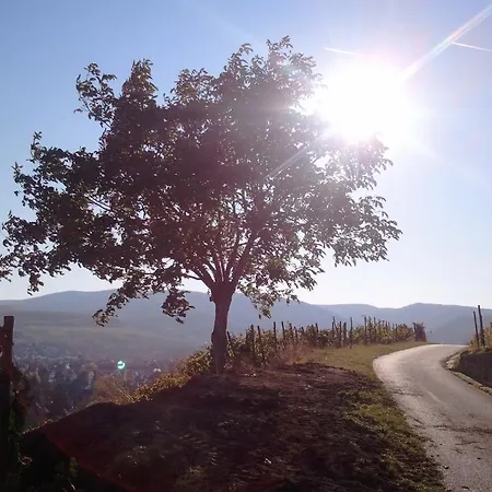 Am Kurpark 3* Bad Neuenahr-Ahrweiler