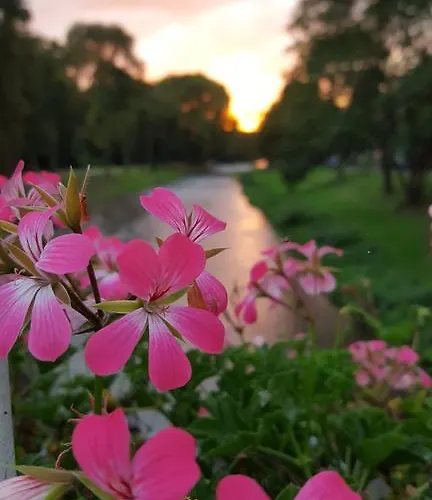 Am Kurpark ホテル バート・ノイェンアール・アールヴァイラー