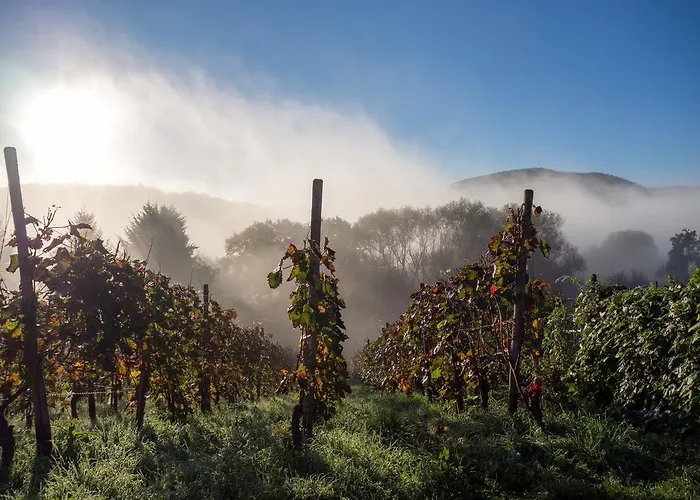 Am Kurpark 3* バート・ノイェンアール・アールヴァイラー
