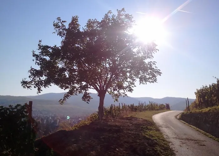 Am Kurpark 3* Bad Neuenahr-Ahrweiler